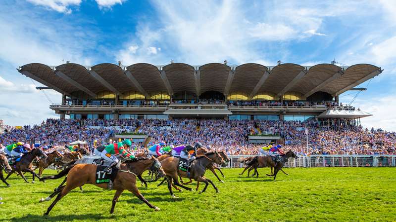 Goodwood events chauffeur