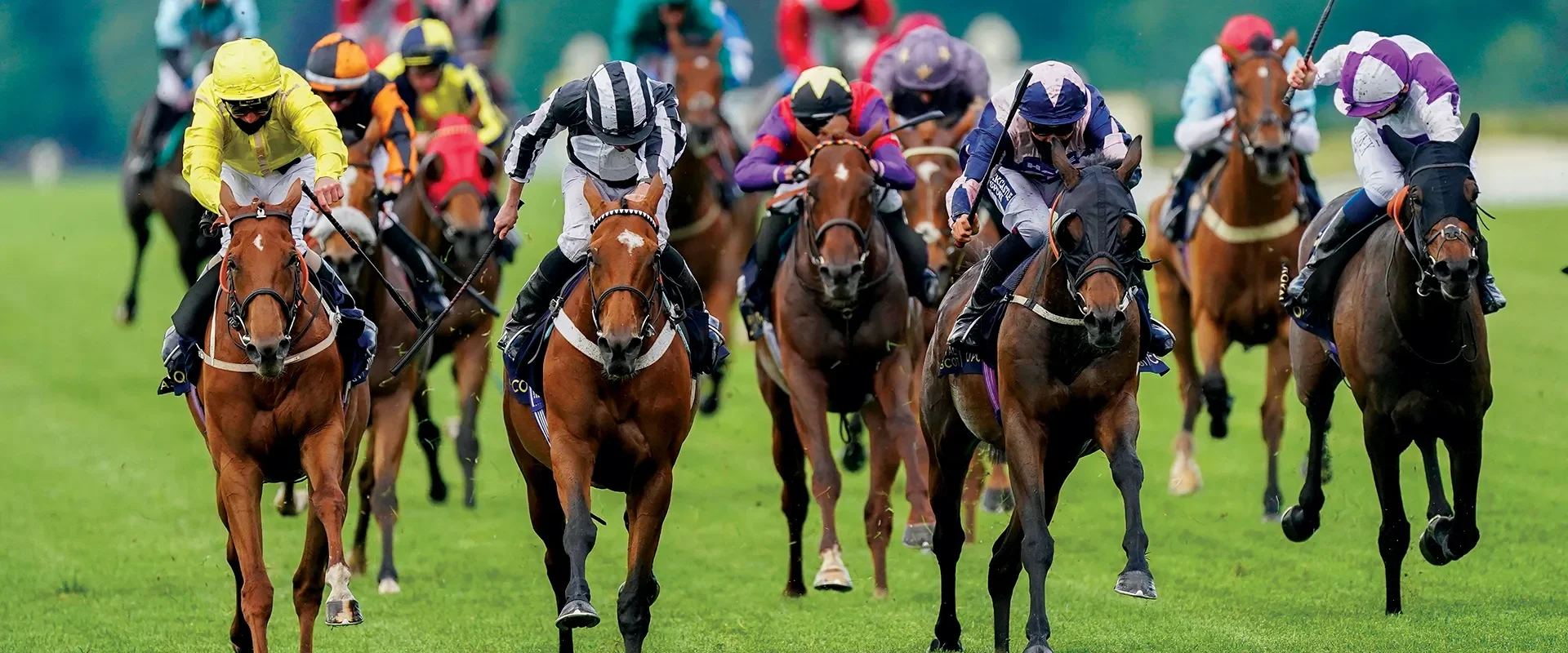 Royal ascot chauffeur