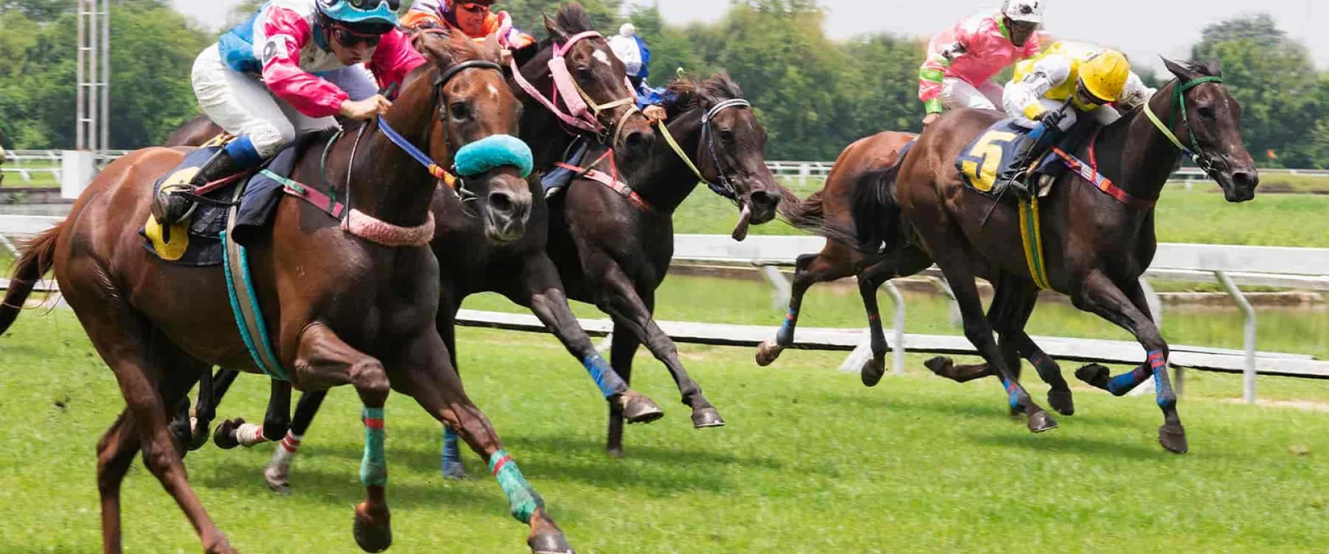 Cheltenham festival chauffeur